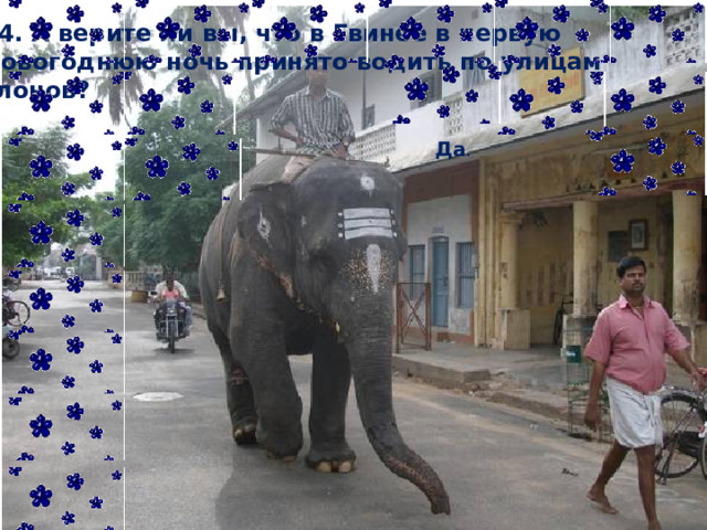 14. А верите ли вы, что в Гвинее в первую Новогоднюю ночь принято водить по улицам слонов? Да . 