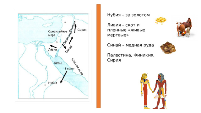 Нубия – за золотом Ливия – скот и пленные «живые мертвые» Синай – медная руда Палестина, Финикия, Сирия 