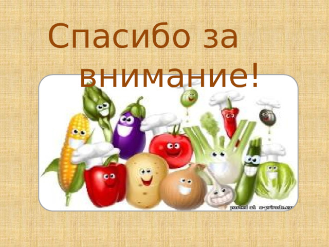 Спасибо за  внимание! 