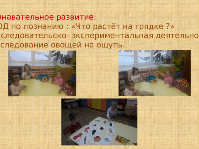 Познавательное развитие: *НОД по познанию : «Что растёт на грядке ?» *Исследовательско- экспериментальная деятельность : Обследование овощей на ощупь. 