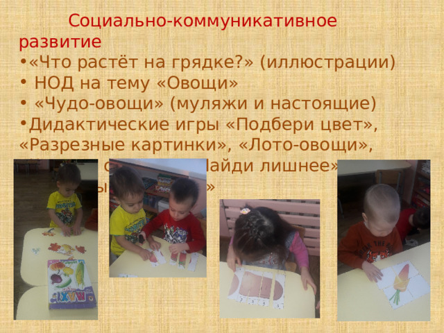  Социально-коммуникативное развитие «Что растёт на грядке?» (иллюстрации)  НОД на тему «Овощи»  «Чудо-овощи» (муляжи и настоящие) Дидактические игры «Подбери цвет», «Разрезные картинки», «Лото-овощи», «Чего не стало?», «Найди лишнее», «Чудесный мешочек» 