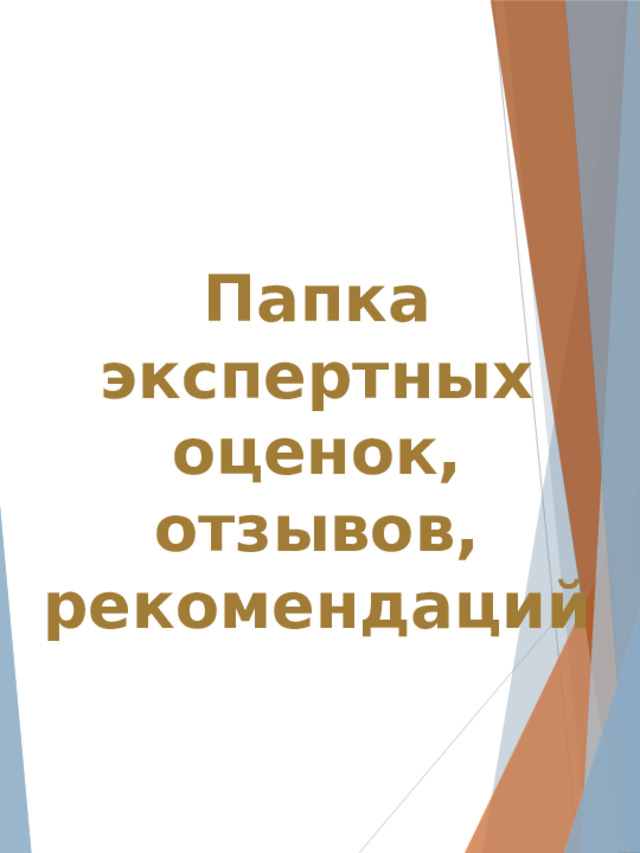 Папка экспертных оценок, отзывов, рекомендаций 