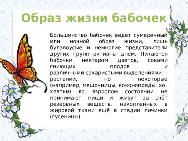 Презентация к уроку "Почему мы не будем рвать цветы и ловить бабочек?", окружающ