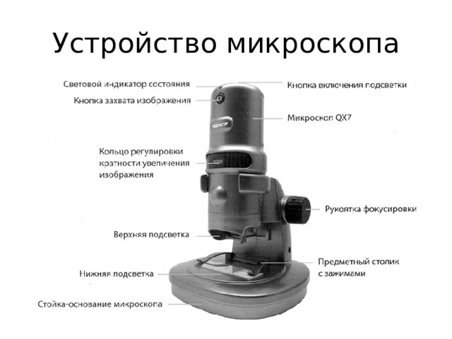 Устройство микроскопа 