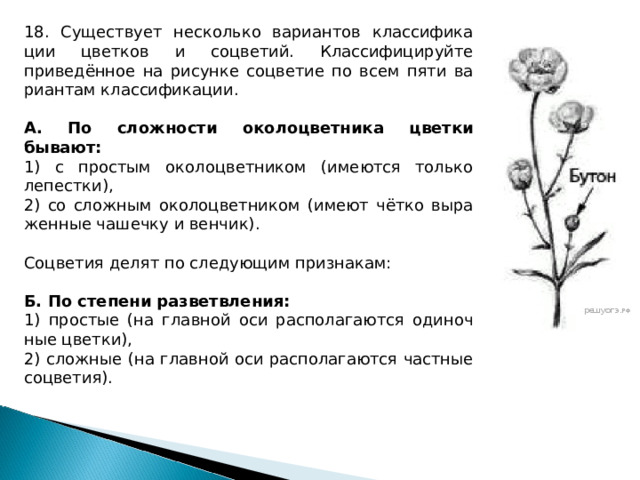 На ри сун ке изображена тра пе ция ис поль зуя рисунок най ди те