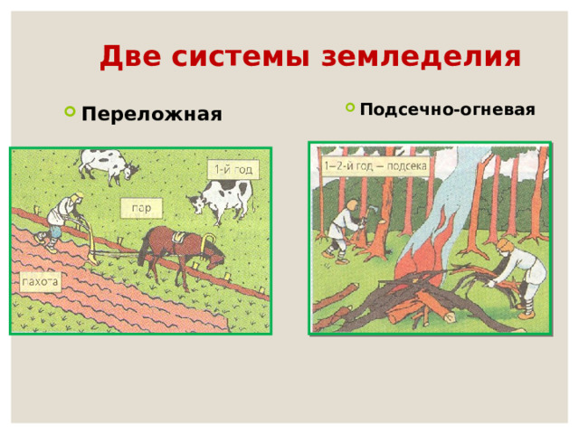 Две системы земледелия   Подсечно-огневая Переложная 