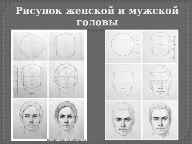 С чего следует начать рисунок головы человека