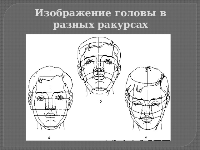 Изображение головы в разных ракурсах 