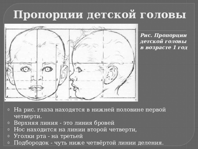 Пропорции детской головы Рис. Пропорции детской головы в возрасте 1 год На рис. глаза находятся в нижней половине первой четверти. Верхняя линия - это линия бровей Нос находится на линии второй четверти, Уголки рта - на третьей Подбородок - чуть ниже четвёртой линии деления. 