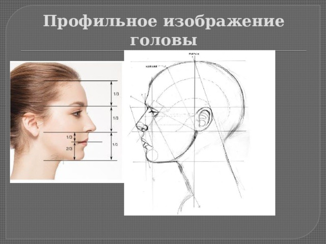 Профильное изображение головы 