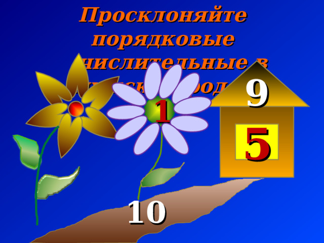 Просклоняйте порядковые  числительные в мужском роде. 9 1 5  10 