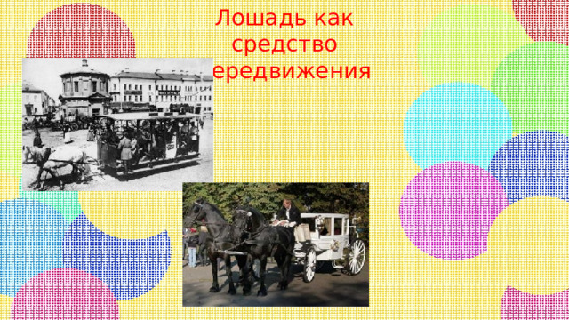 Лошадь как средство передвижения 