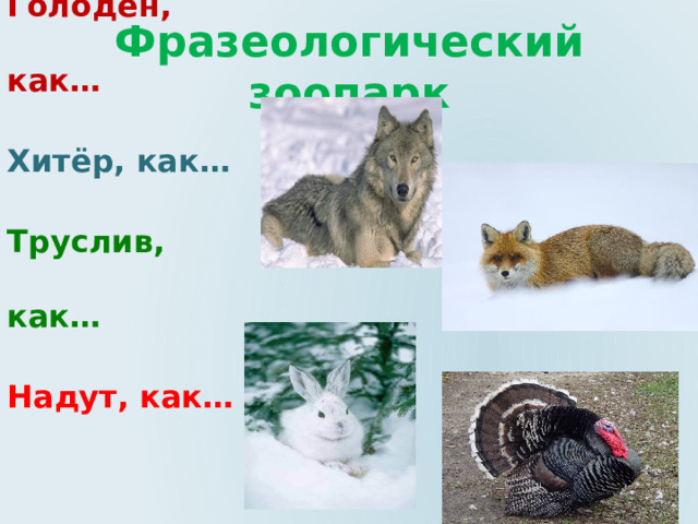 Фразеологический зоопарк      Голоден, как… Хитёр, как… Труслив, как… Надут, как…  