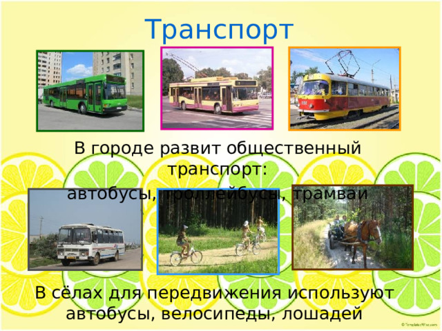 Транспорт В городе развит общественный транспорт: автобусы, троллейбусы, трамваи В сёлах для передвижения используют автобусы, велосипеды, лошадей 