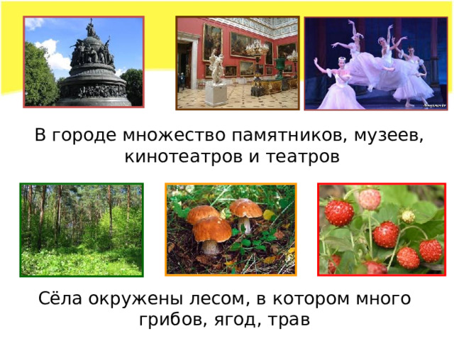 В городе множество памятников, музеев, кинотеатров и театров Сёла окружены лесом, в котором много грибов, ягод, трав 