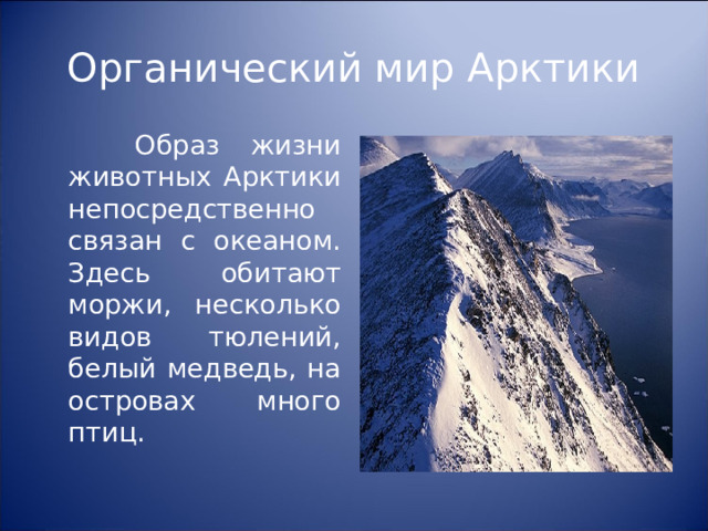 Органический мир Арктики  Образ жизни животных Арктики непосредственно связан с океаном. Здесь обитают моржи, несколько видов тюлений, белый медведь, на островах много птиц. 