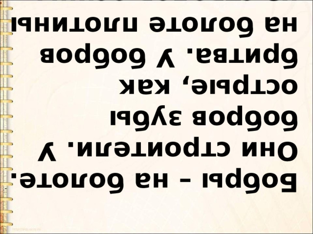 Бобры – на болоте. Они строители. У бобров зубы острые, как бритва. У бобров на болоте плотины из стволов осины. 