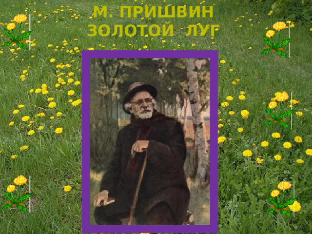 М. Пришвин Золотой луг 