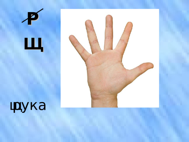 Р   Щ р ука щ 