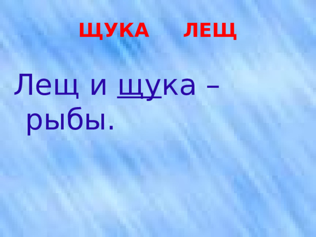 ЩУКА ЛЕЩ Лещ и щу ка – рыбы. 