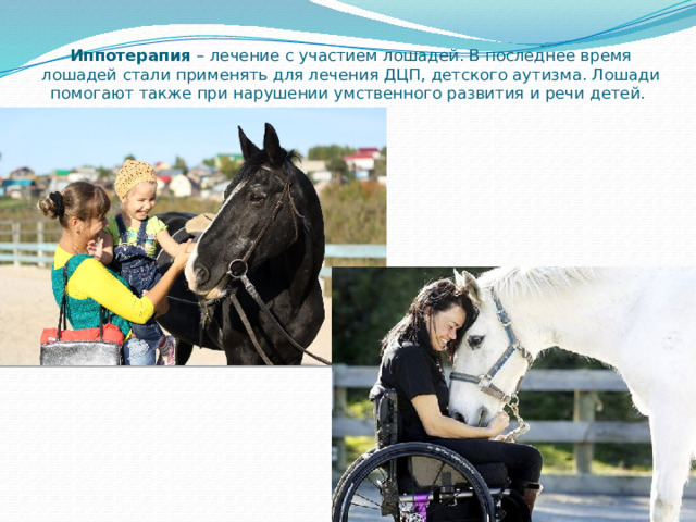 Иппотерапия – лечение с участием лошадей. В последнее время лошадей стали применять для лечения ДЦП, детского аутизма. Лошади помогают также при нарушении умственного развития и речи детей. 