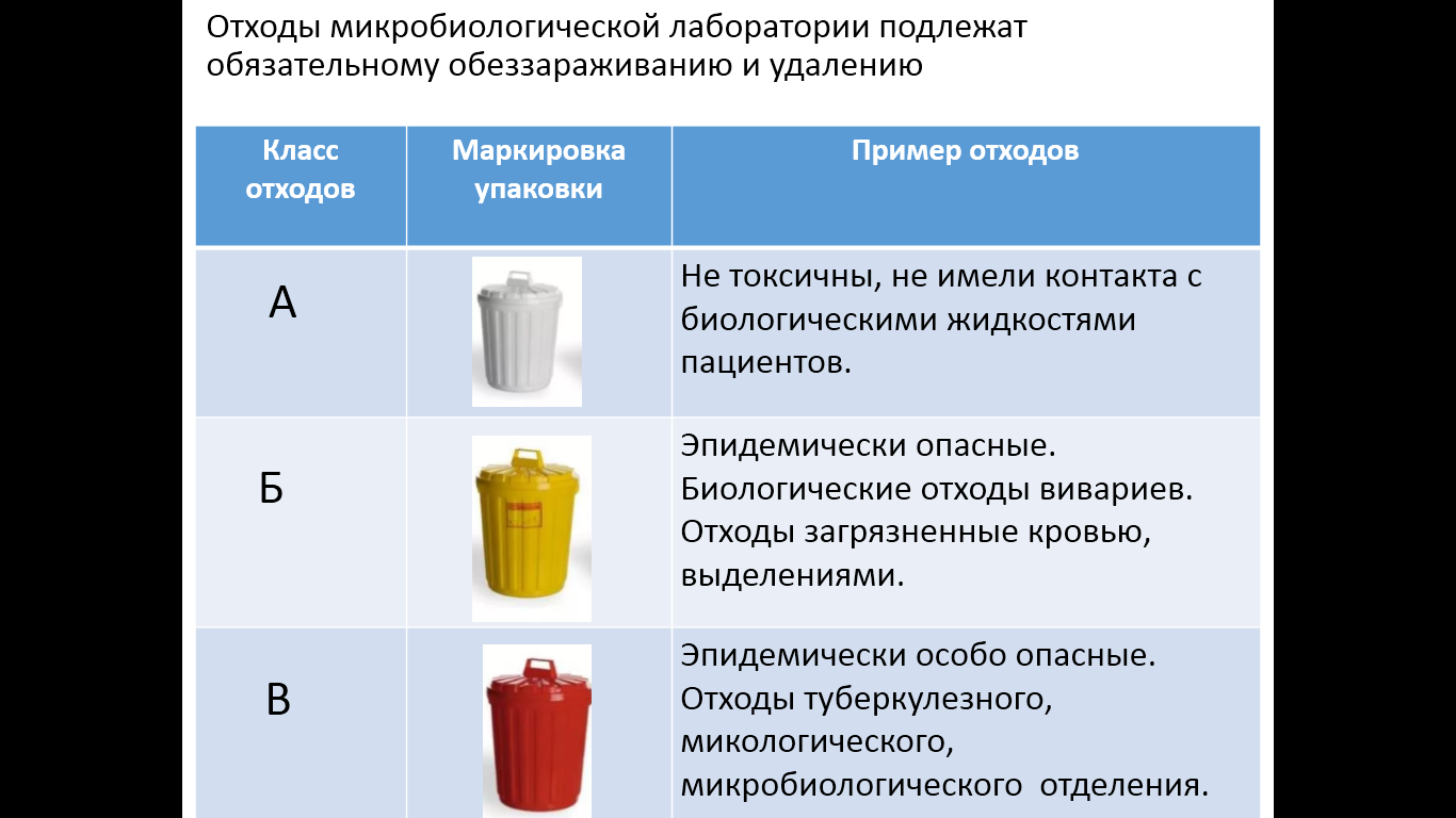 Практическая работа №1 Микробиологическая лаборатория. Правила работы