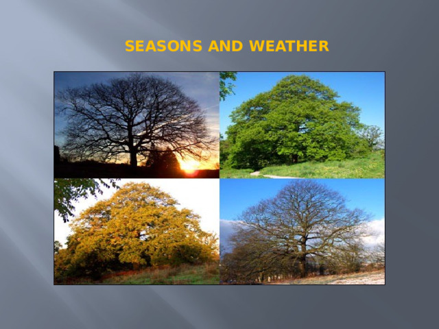   Seasons and weather 