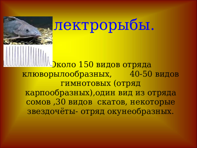 Электростатическое чувство змеи. Гремучая змея воспринимает слабые запахи и разницу температур в одну десятую градуса,чувствует приближение даже небольшого теплокровного животного .Важную роль в ориентации играет жало – язык, которым они ощупывают пространства впереди себя . Кожа змеи сухая ,хорошо электризуется, плохо проводит электричество, не имеет волосков и щетинок с которых заряды могли бы стекать. Животные,на которых охотится змея , выдыхают ионы, присутствие которых обнаруживается по разнице зарядов на её языке. Гремучая змея воспринимает слабые запахи и разницу температур в одну десятую градуса,чувствует приближение даже небольшого теплокровного животного .Важную роль в ориентации играет жало – язык, которым они ощупывают пространства впереди себя . Кожа змеи сухая ,хорошо электризуется, плохо проводит электричество, не имеет волосков и щетинок с которых заряды могли бы стекать. Животные,на которых охотится змея , выдыхают ионы, присутствие которых обнаруживается по разнице зарядов на её языке.        