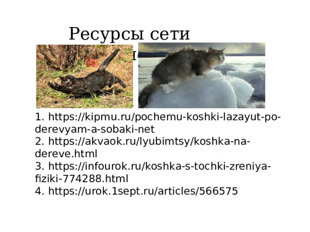 Ресурсы сети Интернет https://kipmu.ru/pochemu-koshki-lazayut-po-derevyam-a-sobaki-net/ 1. https://kipmu.ru/pochemu-koshki-lazayut-po-derevyam-a-sobaki-net 2. https://akvaok.ru/lyubimtsy/koshka-na-dereve.html 3. https://infourok.ru/koshka-s-tochki-zreniya-fiziki-774288.html 4. https://urok.1sept.ru/articles/566575 