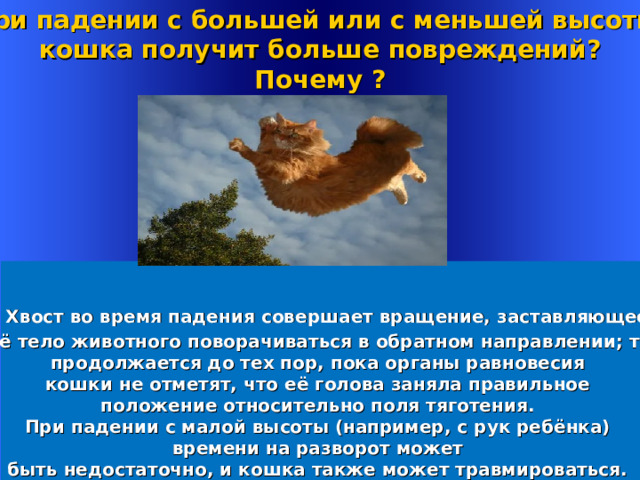 При падении с большей или с меньшей высоты кошка получит больше повреждений ? Почему ?  Хвост во время падения совершает вращение, заставляющее  всё тело животного поворачиваться в обратном направлении; так продолжается до тех пор, пока органы равновесия кошки не отметят, что её голова заняла правильное положение относительно поля тяготения. При падении с малой высоты (например, с рук ребёнка) времени на разворот может быть недостаточно, и кошка также может травмироваться. Welcome to Power Jeopardy   © Don Link, Indian Creek School, 2004 You can easily customize this template to create your own Jeopardy game. Simply follow the step-by-step instructions that appear on Slides 1-3. 1 