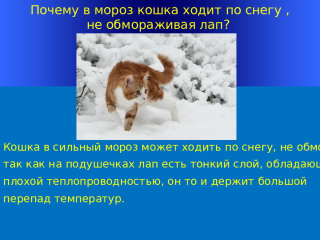 Почему в мороз кошка ходит по снегу , не обмораживая лап ?  Кошка в сильный мороз может ходить по снегу, не обмораживая лап, так как на подушечках лап есть тонкий слой, обладающий плохой теплопроводностью, он то и держит большой перепад температур. Welcome to Power Jeopardy   © Don Link, Indian Creek School, 2004 You can easily customize this template to create your own Jeopardy game. Simply follow the step-by-step instructions that appear on Slides 1-3. 1 