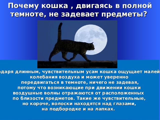 Почему кошка , двигаясь в полной темноте, не задевает предметы ?  Благодаря длинным, чувствительным усам кошка ощущает малейшие колебания воздуха и может уверенно  передвигаться в темноте, ничего не задевая,  потому что возникающие при движении кошки воздушные волны отражаются от расположенных по близости предметов. Такие же чувствительные,  но короче, волоски находятся над глазами, на подбородке и на лапках. Welcome to Power Jeopardy   © Don Link, Indian Creek School, 2004 You can easily customize this template to create your own Jeopardy game. Simply follow the step-by-step instructions that appear on Slides 1-3. 1 