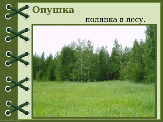 Опушка –  полянка в лесу. 