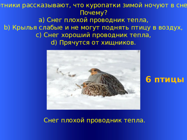 Охотники рассказывают, что куропатки зимой ночуют в снегу. Почему?  a) Снег плохой проводник тепла,  b) Крылья слабые и не могут поднять птицу в воздух,  c) Снег хороший проводник тепла,  d) Прячутся от хищников.    Снег плохой проводник тепла.   6 птицы Welcome to Power Jeopardy   © Don Link, Indian Creek School, 2004 You can easily customize this template to create your own Jeopardy game. Simply follow the step-by-step instructions that appear on Slides 1-3. 1 