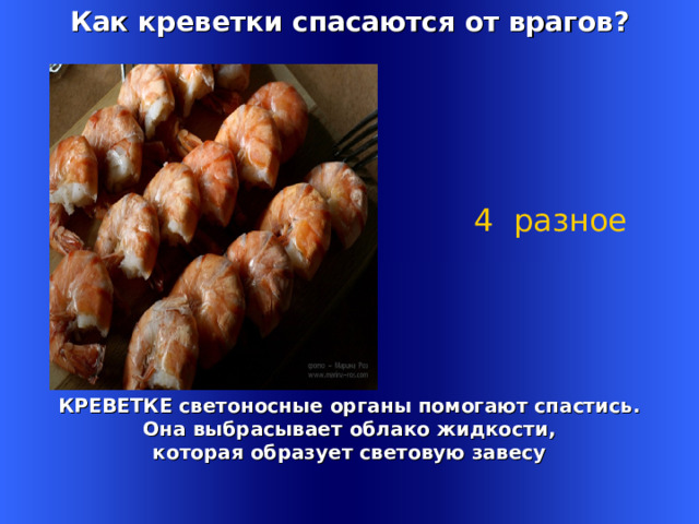 Как креветки спасаются от врагов? 4 разное    КРЕВЕТКЕ светоносные органы помогают спастись.  Она выбрасывает облако жидкости, которая образует световую завесу Welcome to Power Jeopardy   © Don Link, Indian Creek School, 2004 You can easily customize this template to create your own Jeopardy game. Simply follow the step-by-step instructions that appear on Slides 1-3. 1 