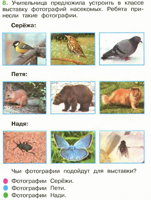 КИМ по окружающему миру 1 класс