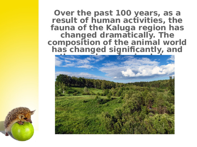 Over the past 100 years, as a result of human activities, the fauna of the Kaluga region has changed dramatically. The composition of the animal world has changed significantly, and the number of animals has greatly decreased.  1 