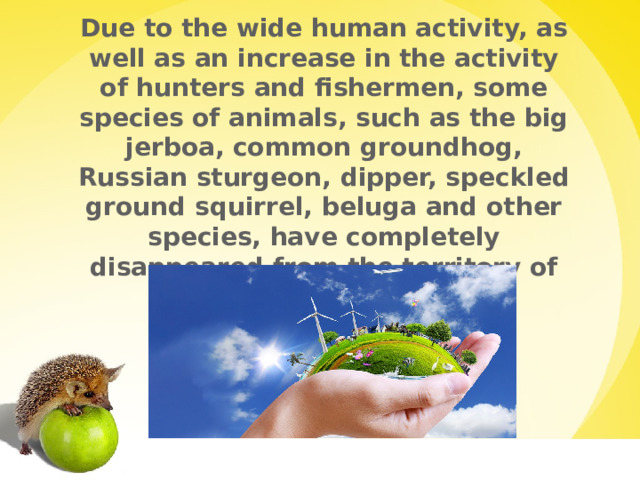 Due to the wide human activity, as well as an increase in the activity of hunters and fishermen, some species of animals, such as the big jerboa, common groundhog, Russian sturgeon, dipper, speckled ground squirrel, beluga and other species, have completely disappeared from the territory of the Kaluga region. 