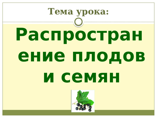 Тема урока: Распространение плодов и семян 