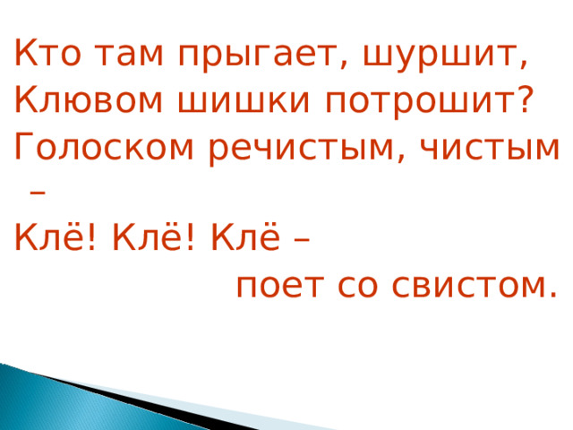 Кто там прыгает шуршит клювом шишки потрошит. Кто там прыгает шуршит клювом шишки. Загадка кто там прыгает шуршит клювом шишки потрошит ответ.