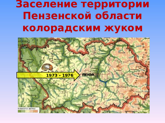 Заселение территории Пензенской области колорадским жуком  1973 - 1976 ПЕНЗА 