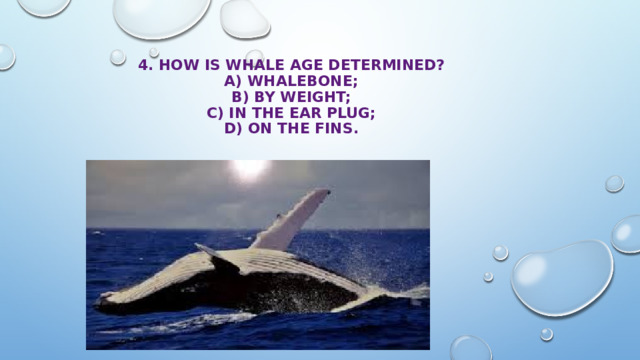 4. How is whale age determined?  A) whalebone;  B) by weight;  с) in the ear plug;  D) on the fins. 
