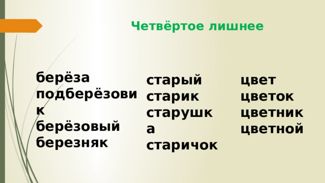  Четвёртое лишнее берёза подберёзовик берёзовый березняк старый цвет старик цветок старушка цветник старичок цветной 