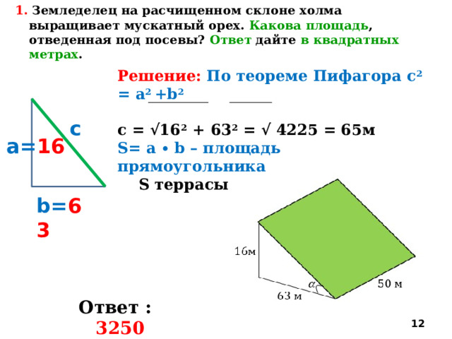 1. Земледелец на расчищенном склоне холма выращивает мускатный орех. Какова площадь , отведенная под посевы? Ответ дайте в квадратных метрах . Решение: По теореме Пифагора c 2 = a 2 +b 2  с = √16 2 +  63 2 = √ 4225 = 65м S= a ∙ b – площадь прямоугольника  S террасы = 50 · 65 = 3250 м 2      c а= 16 b= 63 Ответ : 3250  