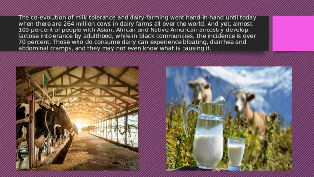  The co-evolution of milk tolerance and dairy-farming went hand-in-hand until today when there are 264 million cows in dairy farms all over the world. And yet, almost 100 percent of people with Asian, African and Native American ancestry develop lactose intolerance by adulthood, while in black communities, the incidence is over 70 percent. Those who do consume dairy can experience bloating, diarrhea and abdominal cramps, and they may not even know what is causing it. 