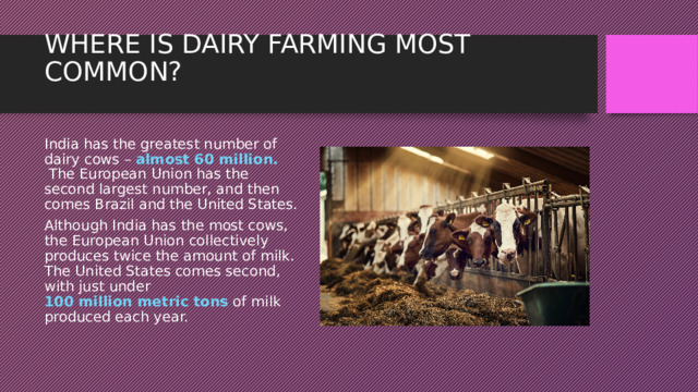 WHERE IS DAIRY FARMING MOST COMMON?   India has the greatest number of dairy cows –  almost 60 million.  The European Union has the second largest number, and then comes Brazil and the United States. Although India has the most cows, the European Union collectively produces twice the amount of milk. The United States comes second, with just under  100 million metric tons  of milk produced each year. 