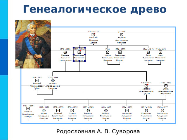 Генеалогическое древо Родословная А. В. Суворова 