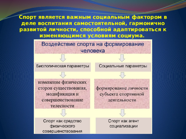 Спорт является важным социальным фактором в деле воспитания самостоятельной, гармонично развитой личности, способной адаптироваться к изменяющимся условиям социума. 