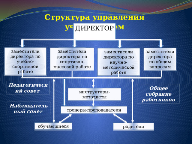 Структура управления учреждением ДИРЕКТОР заместители директора по учебно-спортивной работе заместители директора по спортивно-массовой работе заместители директора по общим вопросам заместители директора по научно-методической работе Педагогический совет  Общее собрание работников инструкторы-методисты Наблюдательный совет  тренеры-преподаватели обучающиеся родители 