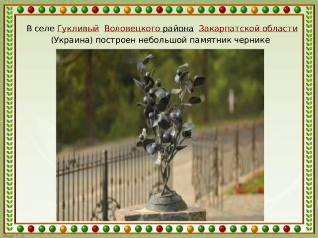  В селе  Гукливый   Воловецкого района   Закарпатской области  (Украина) построен небольшой памятник чернике 